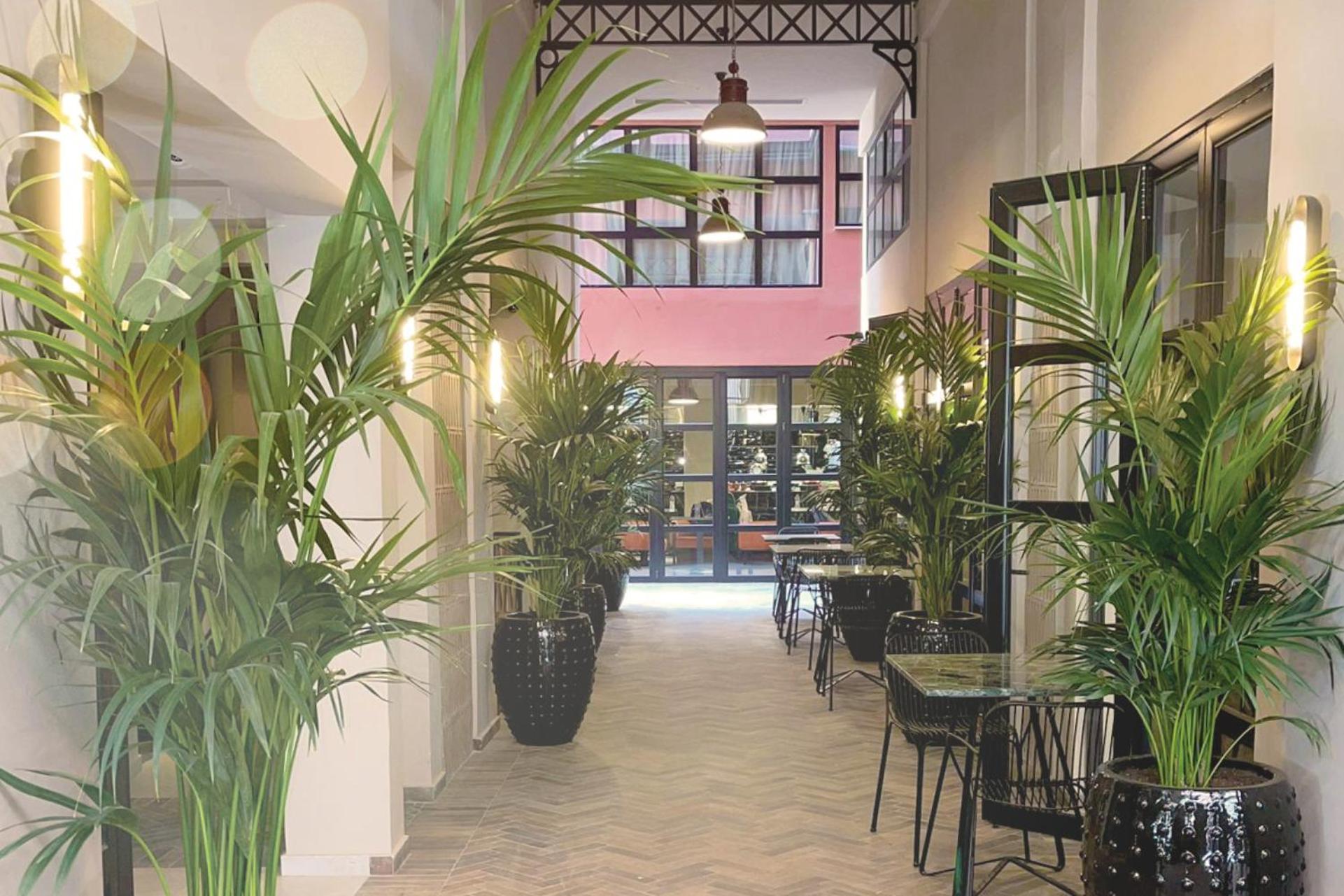 Anise, Aluma Hotels & Resorts Athen Eksteriør billede